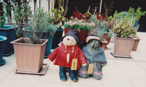 Paddington and Aunt lucy in the garden